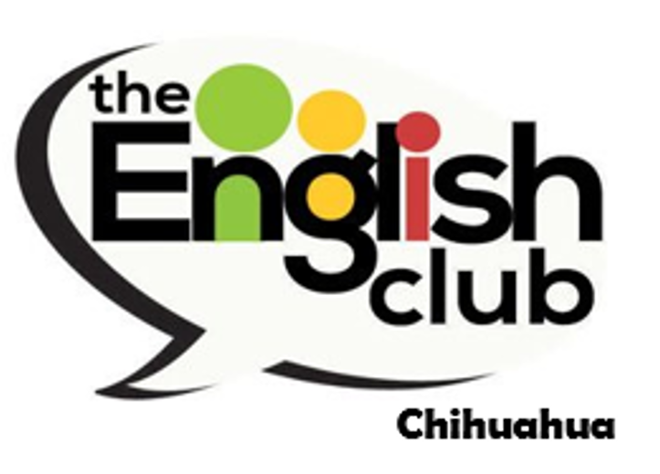 English club chihuahua(5)